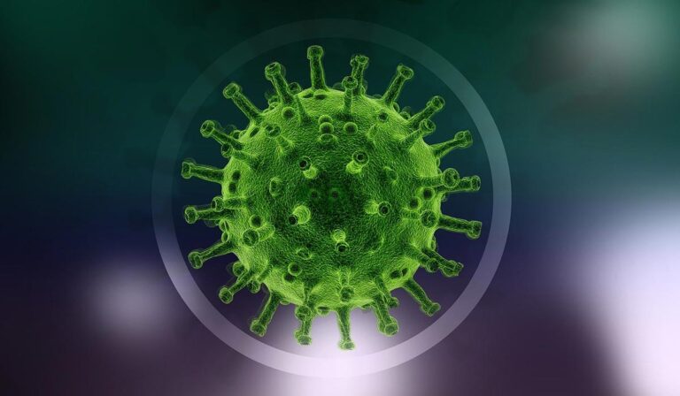 Ministrstvo za zdravje nima dokaza o izolaciji virusa SARS-CoV-2