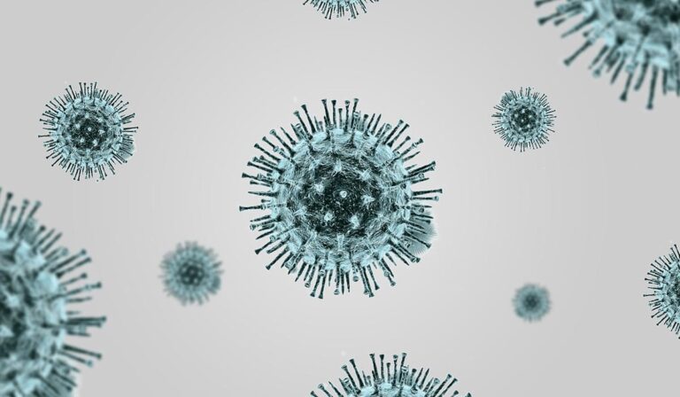 Resnice in laži o virusih in bakterijah