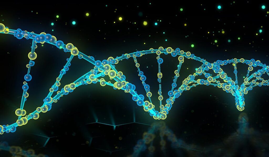 DNK-bioloski-internet