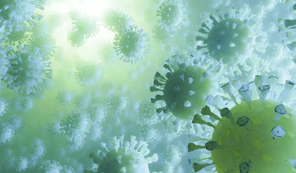 pet-vprasanj-za-virologe